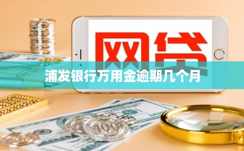 浦发银行万用金逾期几个月