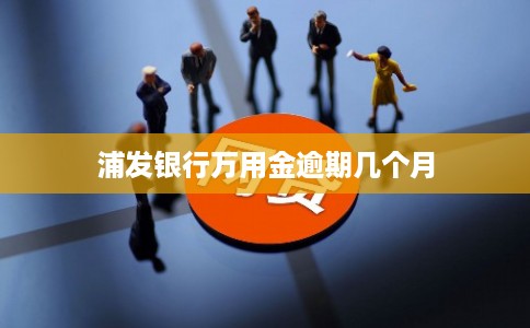 浦发银行万用金逾期几个月