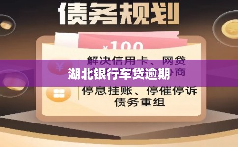 湖北银行车贷逾期