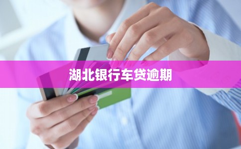 湖北银行车贷逾期