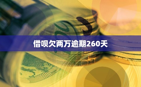 借呗欠两万逾期260天