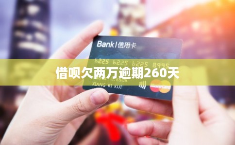 借呗欠两万逾期260天