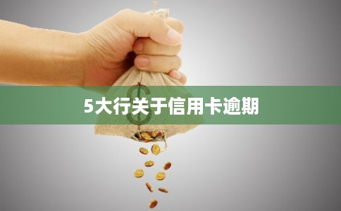 5大行关于信用卡逾期