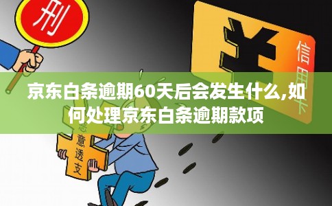 京东白条逾期60天后会发生什么,如何处理京东白条逾期款项