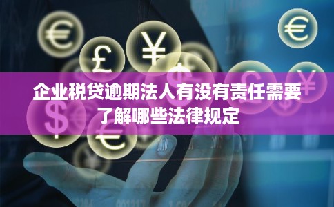 企业税贷逾期法人有没有责任需要了解哪些法律规定