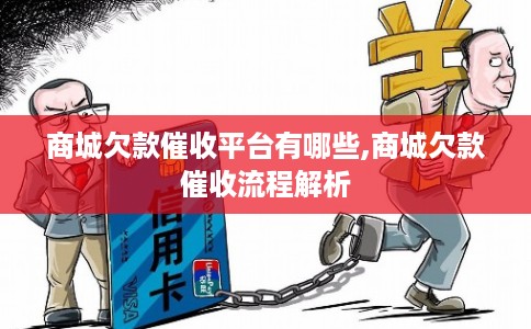 商城欠款催收平台有哪些,商城欠款催收流程解析