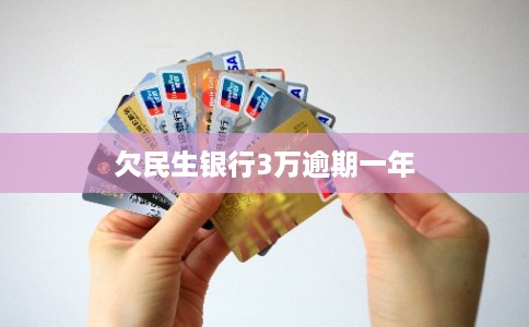 欠民生银行3万逾期一年