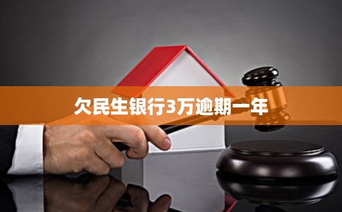 欠民生银行3万逾期一年