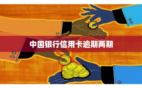 中国银行信用卡逾期两期
