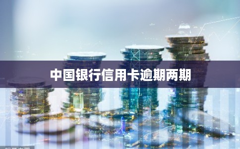 中国银行信用卡逾期两期