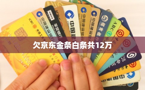 欠京东金条白条共12万