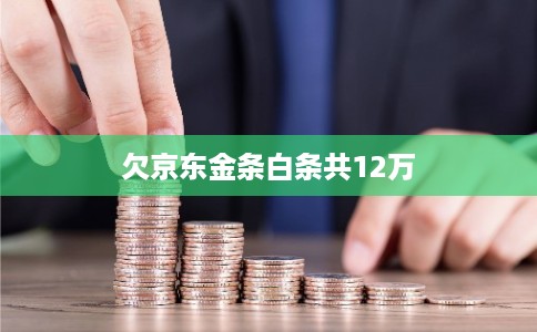 欠京东金条白条共12万