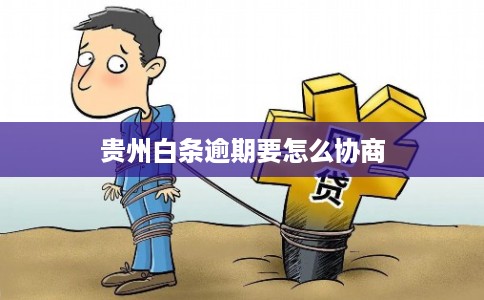 贵州白条逾期要怎么协商