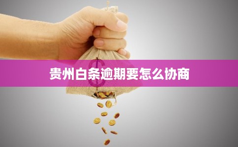 贵州白条逾期要怎么协商