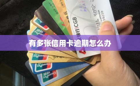 有多张信用卡逾期怎么办