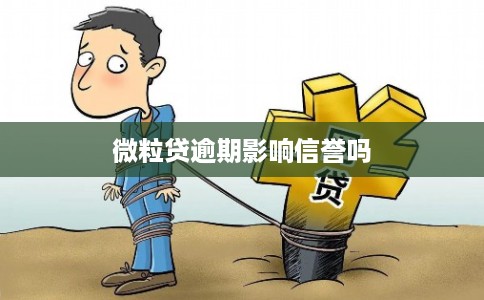 微粒贷逾期影响信誉吗