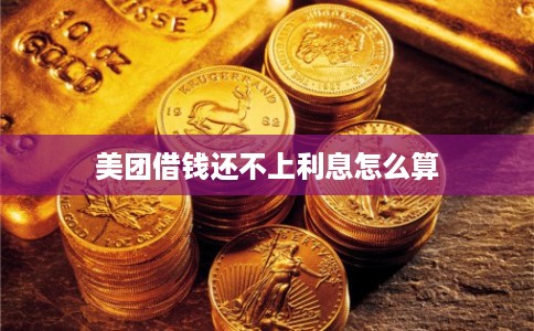美团借钱还不上利息怎么算