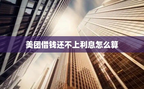 美团借钱还不上利息怎么算