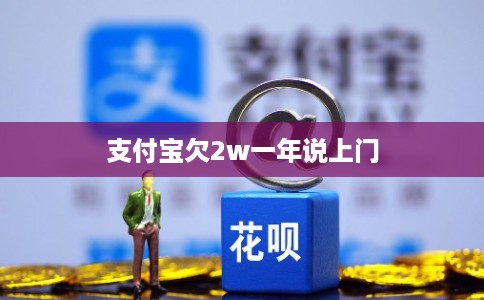 支付宝欠2w一年说上门