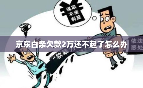 京东白条欠款2万还不起了怎么办