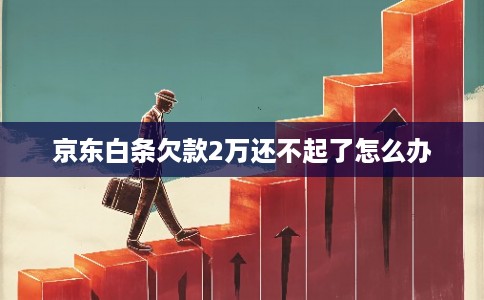 京东白条欠款2万还不起了怎么办