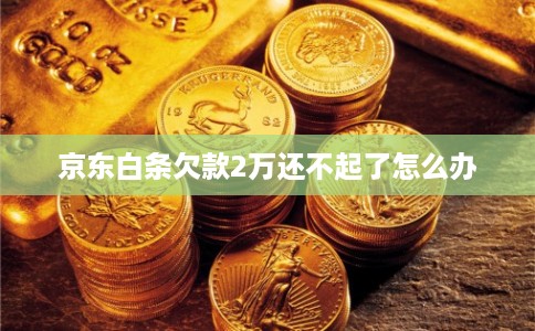 京东白条欠款2万还不起了怎么办
