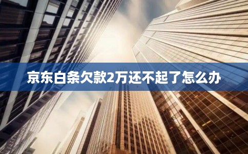 京东白条欠款2万还不起了怎么办
