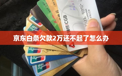 京东白条欠款2万还不起了怎么办