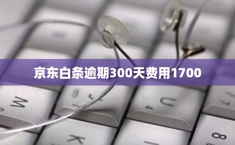 京东白条逾期300天费用1700