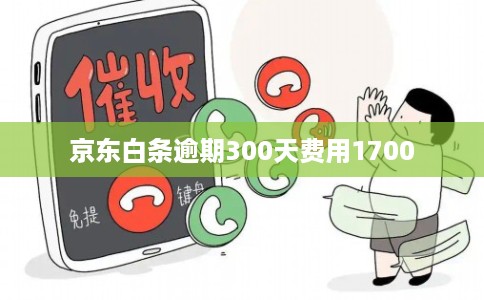 京东白条逾期300天费用1700