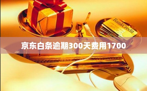 京东白条逾期300天费用1700