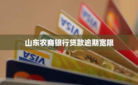 山东农商银行贷款逾期宽限