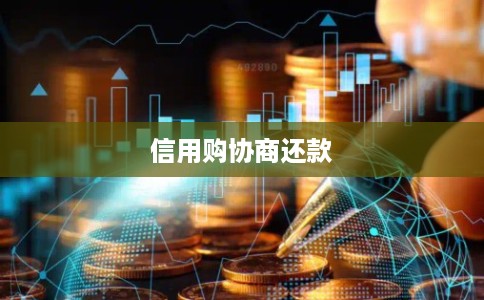 信用购协商还款