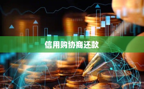 信用购协商还款