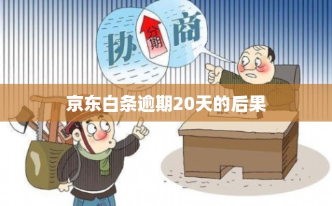 京东白条逾期20天的后果