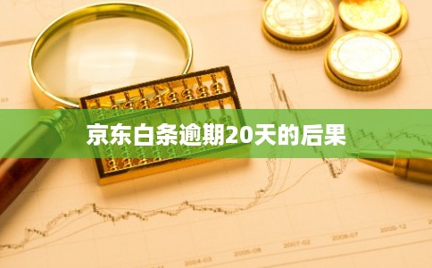 京东白条逾期20天的后果