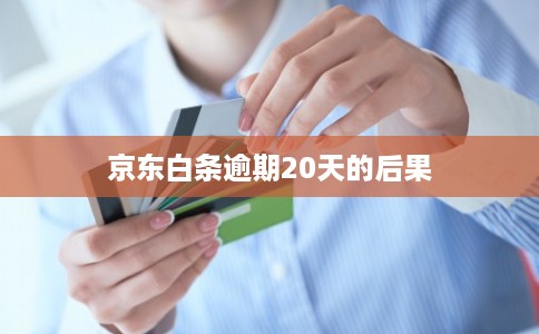 京东白条逾期20天的后果
