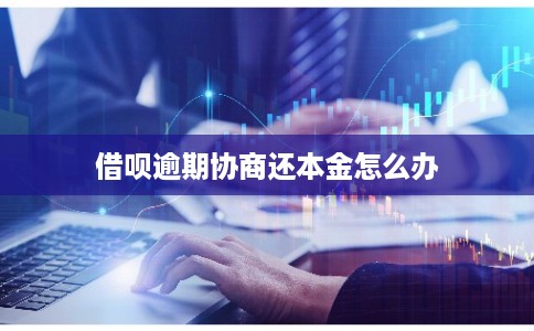 借呗逾期协商还本金怎么办