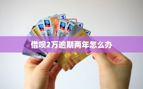 借呗2万逾期两年怎么办