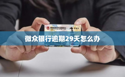微众银行逾期29天怎么办
