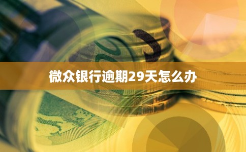 微众银行逾期29天怎么办