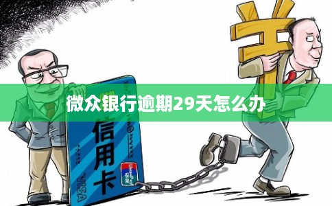 微众银行逾期29天怎么办