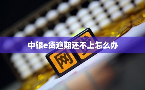 中银e贷逾期还不上怎么办