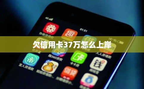 欠信用卡37万怎么上岸