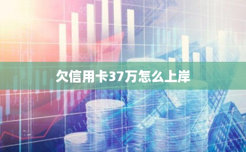 欠信用卡37万怎么上岸