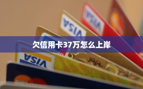 欠信用卡37万怎么上岸