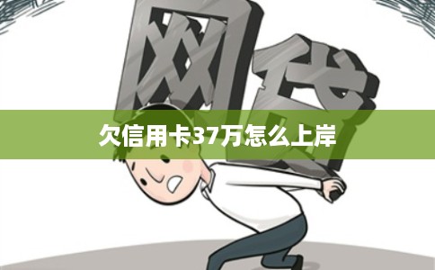 欠信用卡37万怎么上岸