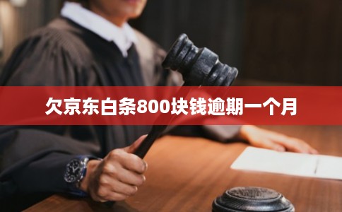 欠京东白条800块钱逾期一个月