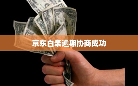 京东白条逾期协商成功