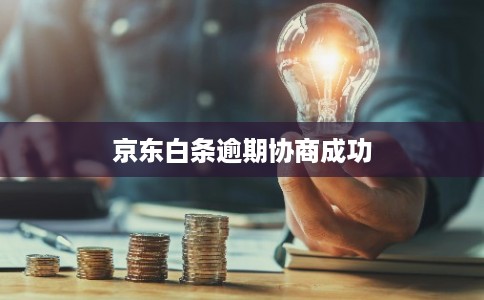 京东白条逾期协商成功